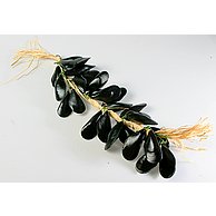 Miesmuschel, am Seil, 30cm