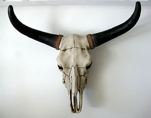 Long-Horn Schädel, GFK, hängend 80  x 50cm Wild- West Deko