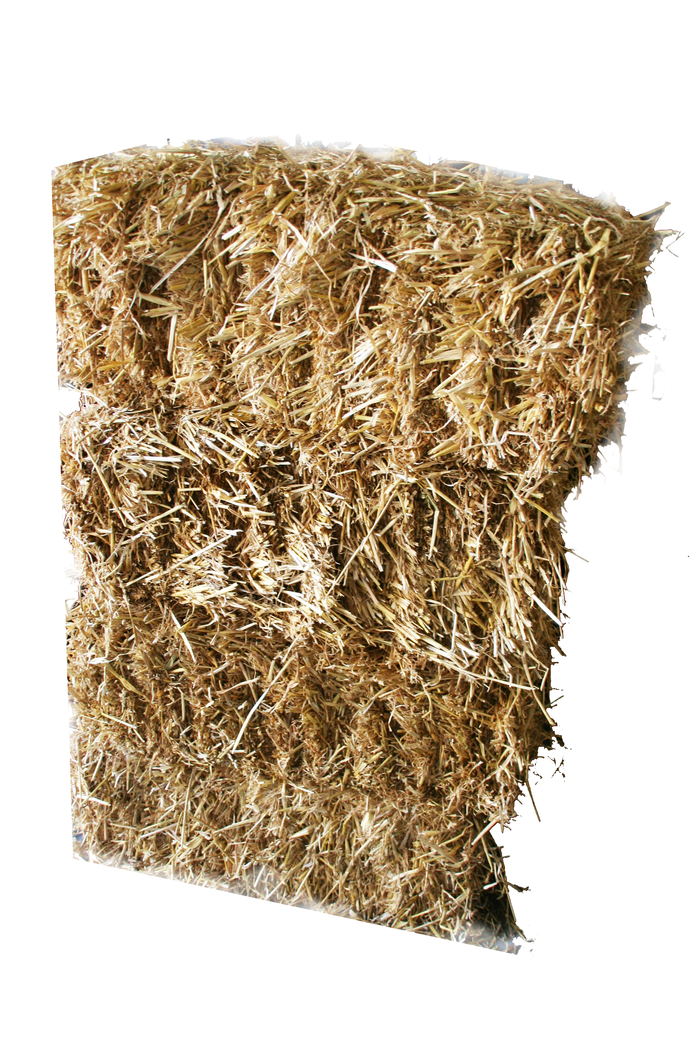 Strohballen - natur -  ( keine B1 Ware)